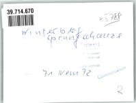 59955 W5788 Winterberg , Westf FOTO KEINE AK Sprungschanze Ort handschriftlich Foto Original aus Archiv eines Ansichtskartenverlags