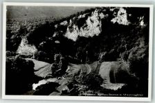 78567 W7203 Fridingen an der Donau Foto AK Jägerhaus Bronnen