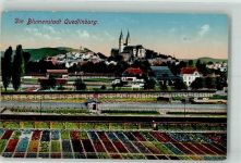 06484 O4300 Quedlinburg 1914 - Kirche Blumen