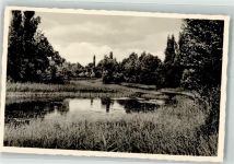 77866 W7597 Rheinbischofsheim - Altrhein