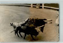 Madrid 1961 Foto AK Stierkampf Torero Ort lt. Stempel