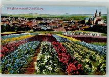 06484 O4300 Quedlinburg 1928 - Blumen Schloss Kirche
