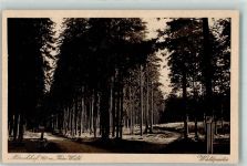 98716 O6303 Elgersburg - Waldpartie Mönchhof Thüringen