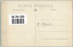 Tracht Kamele Motiv Algerien Foto AK