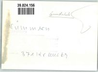58636 W5860 Sümmern FOTO KEINE AK Grundschule Ort handschriftlich Foto Original aus Archiv eines Ansichtskartenverlags