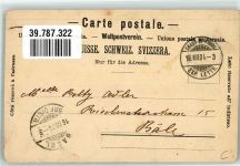 Weintrauben Europe Briefmarken Collage 1904 Gebrauchsspuren