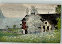 Photochromie Nr.1595 Bauernhaus 1909