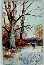 Winter Reh Jahreszeit 1901 Künstlerkarte