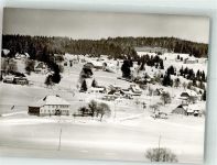 79868 W7828 Falkau Foto AK Winter