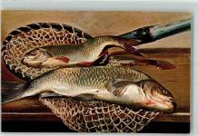 Kescher Verlag Stroefer Serie 469 Fisch