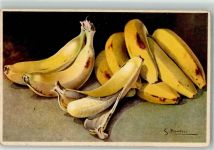 Bananen Bonelli, S.