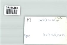 96260 W8628 Weismain FOTO KEINE AK Gasthaus Zur Krone VW Käfer Original aus Archiv eines Ansichtskartenverlags Ort handschriftlich