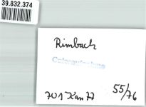 93485 W8491 Rimbach , Oberpf FOTO KEINE AK Foto Original aus Archiv eines Ansichtskartenverlags Ort handschriftlich