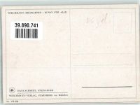 Steinadler Wiechmann Verlag Nr. VII/320 Raubvogel Künstlerkarte