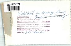 51545 W5220 Waldbröl FOTO KEINE AK Foto Original aus Archiv eines Ansichtskartenverlags