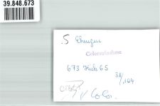 89584 W7930 Ehingen Donau FOTO KEINE AK Ort handschriftlich Foto Original aus Archiv eines Ansichtskartenverlags