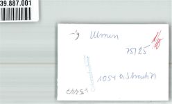 56766 W5447 Ulmen FOTO KEINE AK Ort handschrfitlich Foto Original aus Archiv eines Ansichtskartenverlags