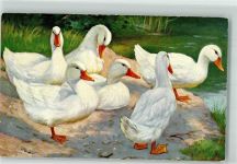 O.G.Z.L. Nr.260-1466 Ente