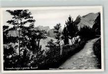 Madeira FOTO KEINE AK