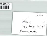 26474 W2941 Spiekeroog FOTO KEINE AK Foto Original aus Archiv eines Ansichtskartenverlags Ort handschriftlich