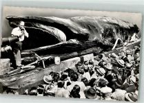 Jonah the giant whale Wal Foto AK