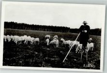 Foto E. Vignes Schäfer auf Stelzen Schafe Hirte