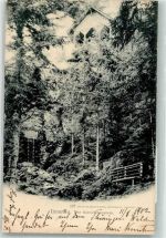 98693 O6300 Ilmenau , Thür 1902 - Der Schwalbenstein