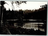 76596 W7564 Herrenwies , Baden - Cafe Waldesruh Herrenwiesersee