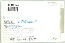 58809 W5982 Affeln FOTO KEINE AK Ort handschrfitlich Foto Original aus Archiv eines Ansichtskartenverlags