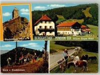 93474 W8491 Arrach , Bayerischer Wald 1985 Foto AK Gasthaus Pension Eck Riedelstein Pferde