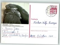 W7000 Bad Cannstatt Gorilla Zoo Wilhelmina Affe Ganzsache
