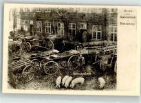 24768 W2370 Rendsburg Foto AK Farkenkönig 1898 Schweine Repro