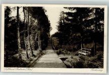 07646 O6540 Stadtroda 1928 Foto AK Birkenweg