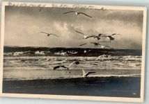 26548 W2982 Norderney 1932 Foto AK Möwen Strand