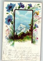 Kornblumen Schmetterling Alpenflora 1900 Künstlerkarte