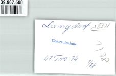 94264 W8371 Langdorf b Regen FOTO KEINE AK Gasthaus Ort handschriftlich