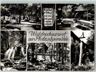 76597 W7563 Loffenau - Waldgasthaus zur Plotzsägemühle