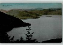 82431 W8111 Walchensee , Oberbay Foto AK Walchensee