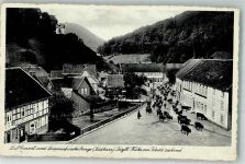 37449 W3421 Zorge - Kühe Damenkapelle
