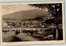 38700 W3389 Hohegeiß Foto AK