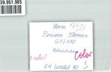 93462 W8496 Lam , Oberpf FOTO KEINE AK Pension Florian Foto Original aus Archiv eines Ansichtskartenverlags Ort handschriftlich