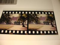 23623 W2421 Sarau , Holst KEINE AK Dia