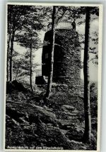 94250 W8371 Achslach 1933 Foto AK Aussichtsturm auf dem Hirschenstein