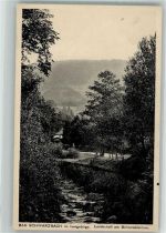 Bad Schwarzbach Czerniawa Zdroj - Isergebirge