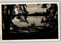 Doksy Hirschberg am See 1940 Foto AK Heideteich