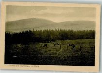 38667 W3396 Torfhaus , Harz 1927 Foto AK