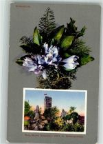 75385 W7264 Zavelstein - Krokusblüte mit Burgruine Zavelstein