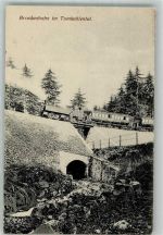 Brockenbahn im Tumkuhlental Harzbahn
