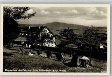 94227 W8372 Rabenstein , Kr Regen - Liegewiese der Pension Linde