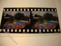 25560 W2216 Puls KEINE AK Schwimmbad, Dia